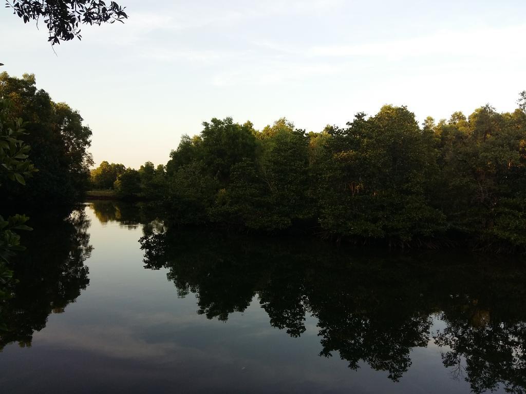 Mangroves & More @ Cambodia Sihanoukville Exterior photo